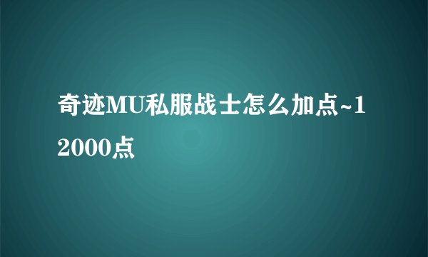 奇迹MU私服战士怎么加点~12000点