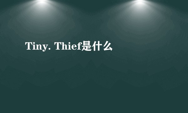 Tiny. Thief是什么