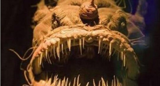 真实拍到的10大巨型不明生物