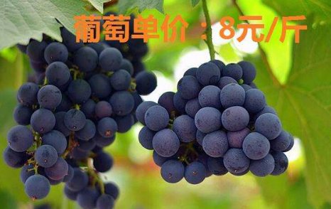 单价的计算公式是什么？