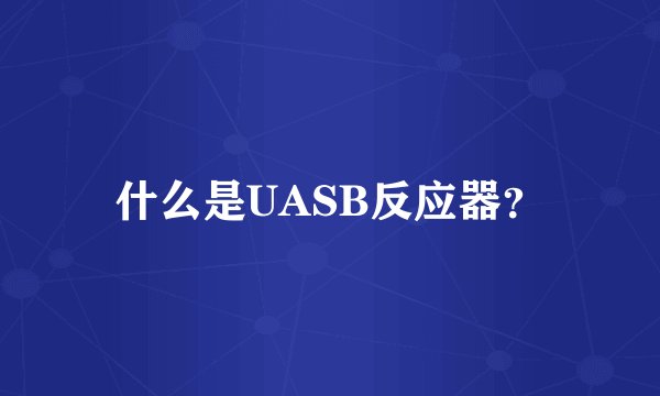 什么是UASB反应器？
