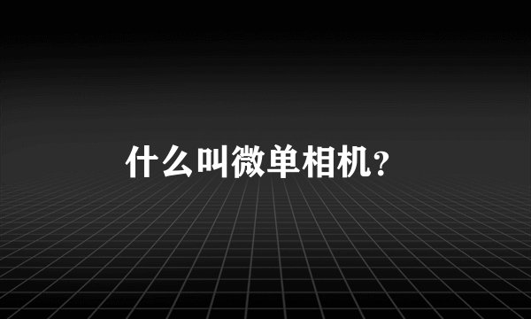 什么叫微单相机？