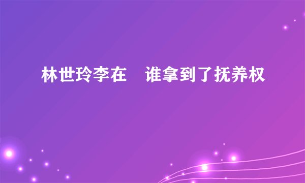 林世玲李在镕谁拿到了抚养权