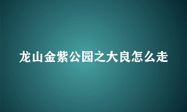 龙山金紫公园之大良怎么走