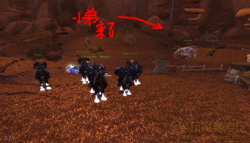 魔兽世界的“黎明之光”任务怎么做?