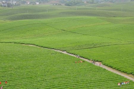 平方米换算成亩怎么算