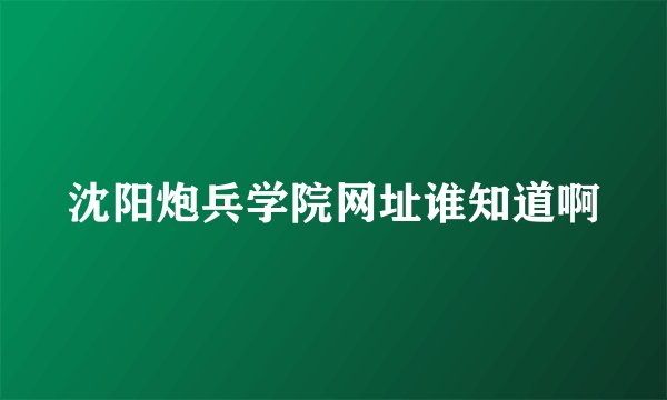 沈阳炮兵学院网址谁知道啊