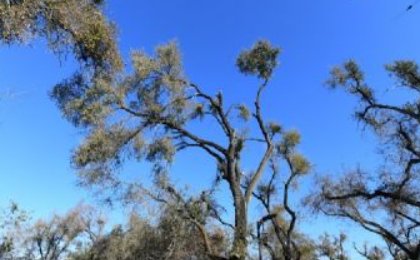 抚顺必去的三大景点