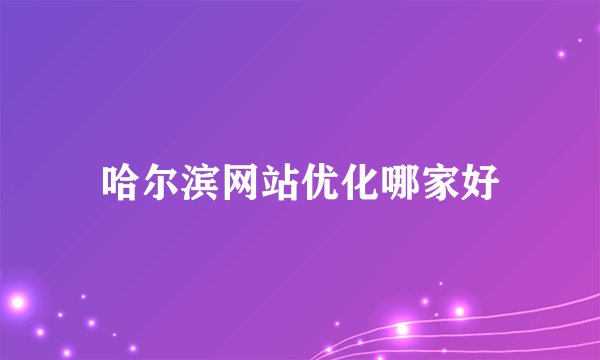 哈尔滨网站优化哪家好