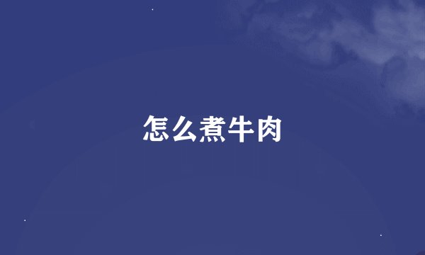 怎么煮牛肉