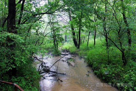 大青树下的小学仿写第一段
