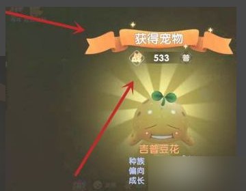 摩尔庄园怎么抓精灵