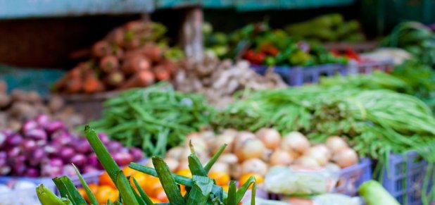 新发地今日蔬菜价格表