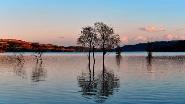 《小娘惹》陈锡是谁扮演的?