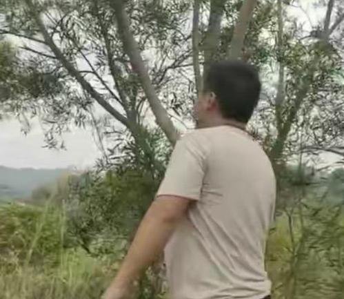 初三女学霸失联后上吊身亡,此女子究竟是自杀还是他杀?