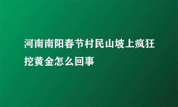 河南南阳春节村民山坡上疯狂挖黄金怎么回事