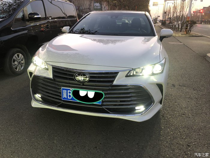 玉兰白龙驹，我的大白龙亚洲龙！真爱的选择！