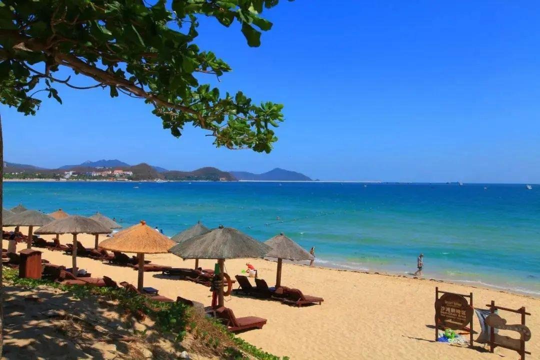 99元买烧鸡送免费旅游五万人报名事件真相如何？