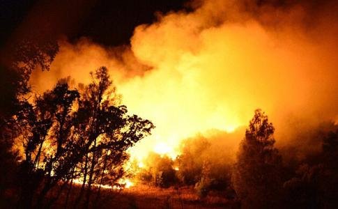 美国西海岸山火已致24人死亡,导致山火的原因有哪些?