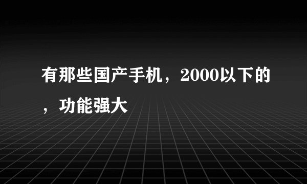 有那些国产手机，2000以下的，功能强大