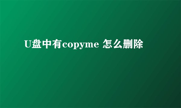 U盘中有copyme 怎么删除
