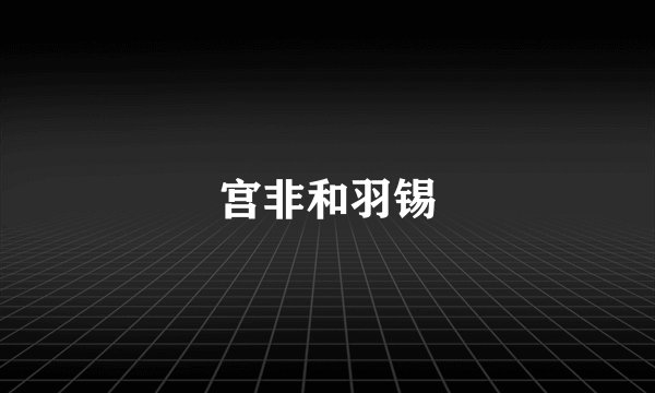 宫非和羽锡