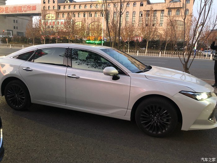 玉兰白龙驹，我的大白龙亚洲龙！真爱的选择！