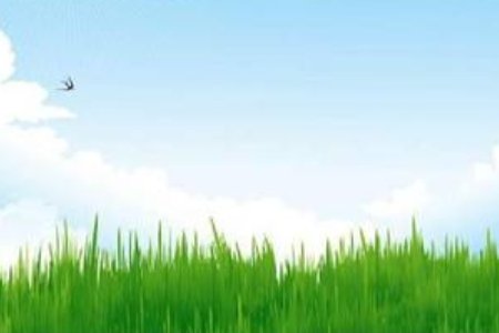 夏天里的成长主要内容是什么？