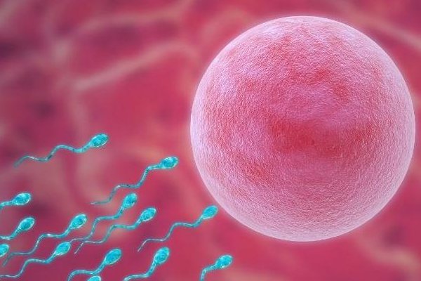 郑州怀八胞胎女子年仅18岁，事件的背后有着怎样的故事？