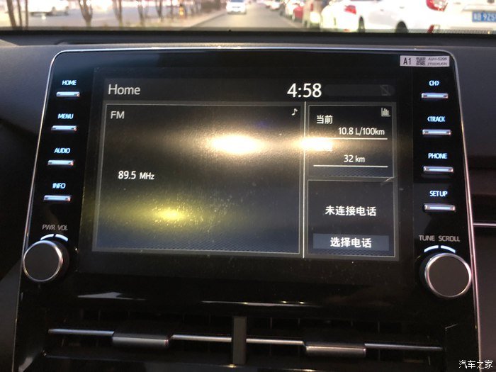 玉兰白龙驹，我的大白龙亚洲龙！真爱的选择！