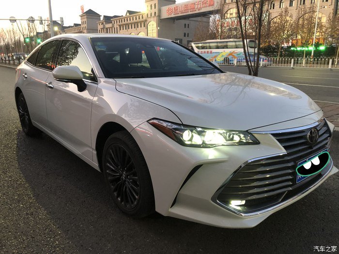 玉兰白龙驹，我的大白龙亚洲龙！真爱的选择！