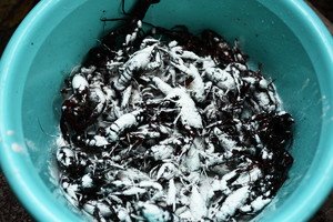 十三香小龙虾的配方都有什么香料