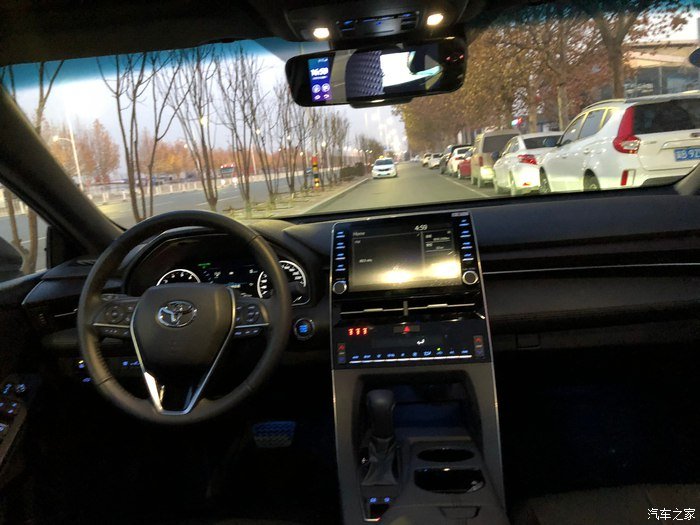 玉兰白龙驹，我的大白龙亚洲龙！真爱的选择！