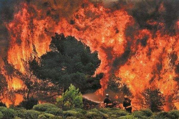 美国西海岸山火已致24人死亡,导致山火的原因有哪些?