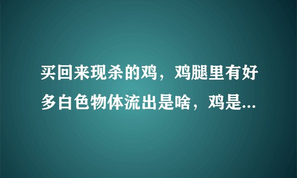 买回来现杀的鸡，鸡腿里有好多白色物体流出是啥，鸡是生病了吗？还能吃吗