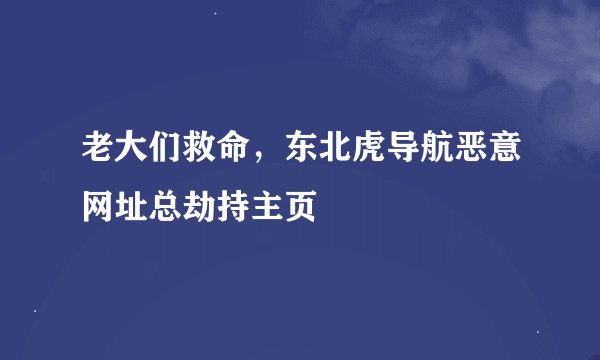 老大们救命，东北虎导航恶意网址总劫持主页