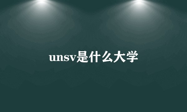 unsv是什么大学