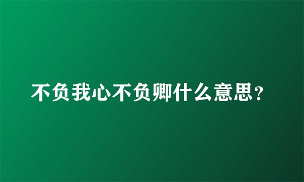 不负我心不负卿什么意思？