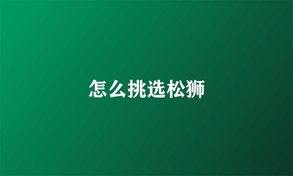 怎么挑选松狮