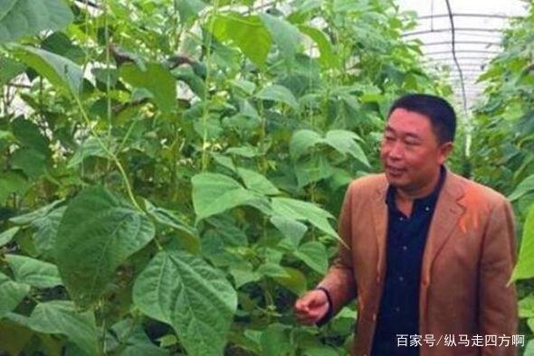 我国“杂交水稻之父”袁隆平,有3个儿子,他们如今都过得怎样?