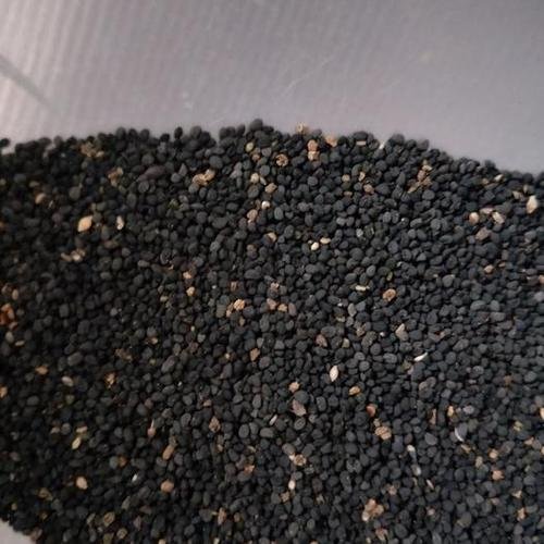 黄芩种子的形态特征如何？种子寿命有多长时间？