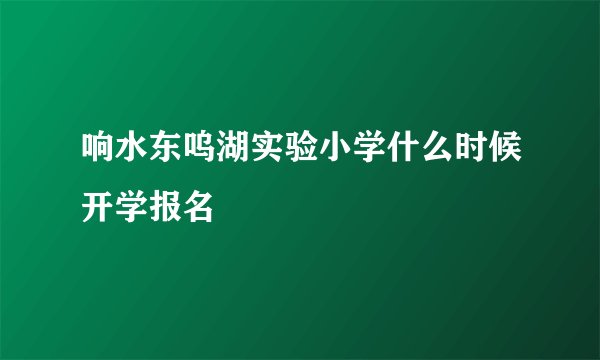 响水东呜湖实验小学什么时候开学报名