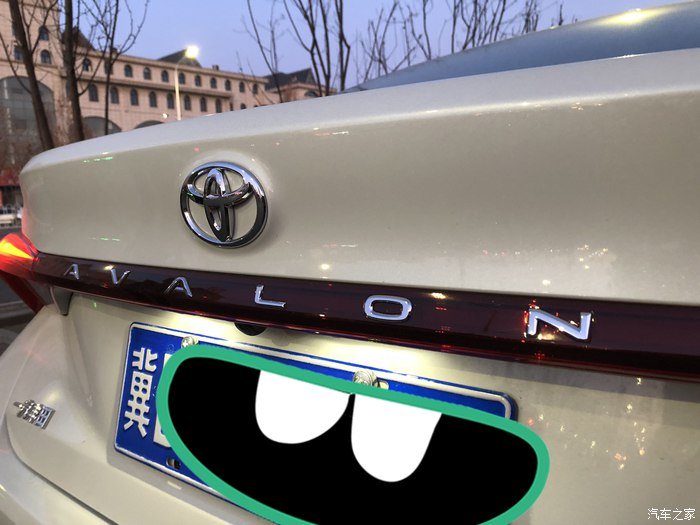 玉兰白龙驹，我的大白龙亚洲龙！真爱的选择！