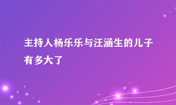 主持人杨乐乐与汪涵生的儿子有多大了