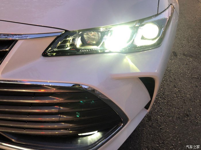 玉兰白龙驹，我的大白龙亚洲龙！真爱的选择！