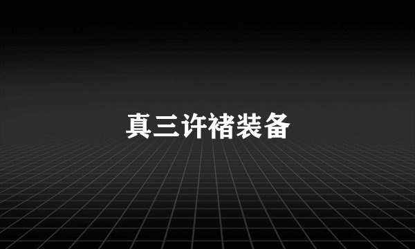 真三许褚装备