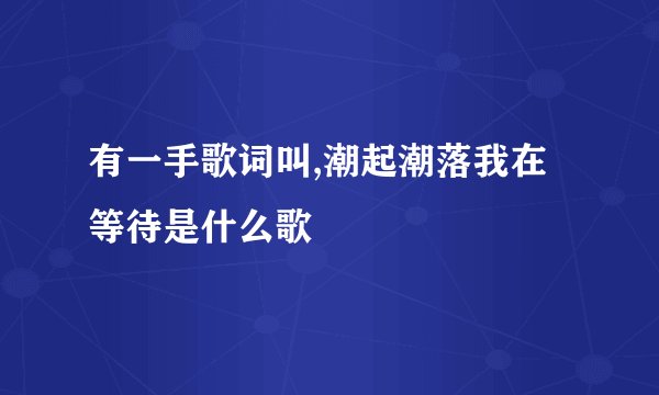 有一手歌词叫,潮起潮落我在等待是什么歌