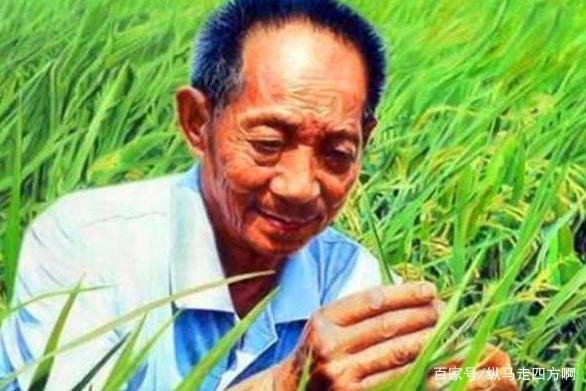 我国“杂交水稻之父”袁隆平，有3个儿子，他们如今都过得怎样？