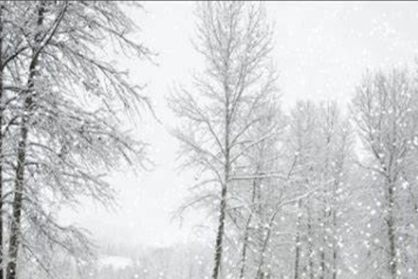 乌克兰基辅雪后变冰雪世界,这让你想到了什么诗句?