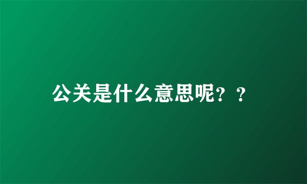 公关是什么意思呢？？